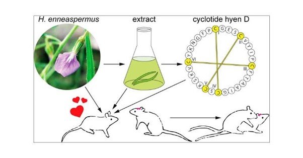 Chemical Constituent